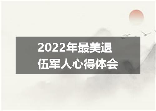 2022年最美退伍军人心得体会