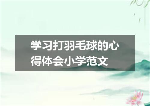 学习打羽毛球的心得体会小学范文