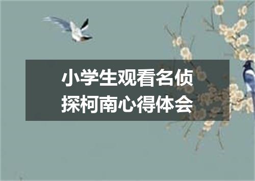 小学生观看名侦探柯南心得体会