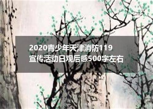 2020青少年天津消防119宣传活动日观后感500字左右