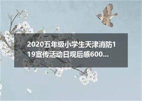 2020五年级小学生天津消防119宣传活动日观后感600字