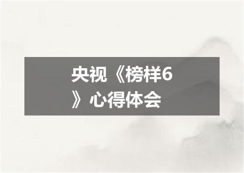 央视《榜样6》心得体会