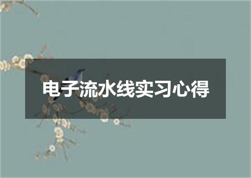 电子流水线实习心得