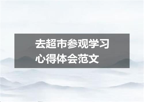 去超市参观学习心得体会范文