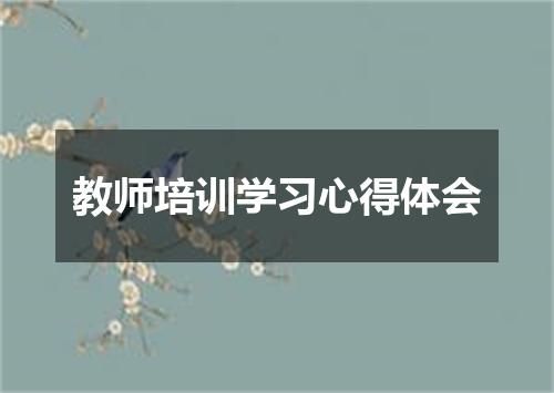 教师培训学习心得体会