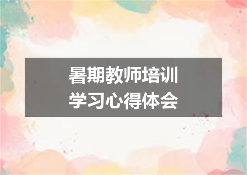 暑期教师培训学习心得体会