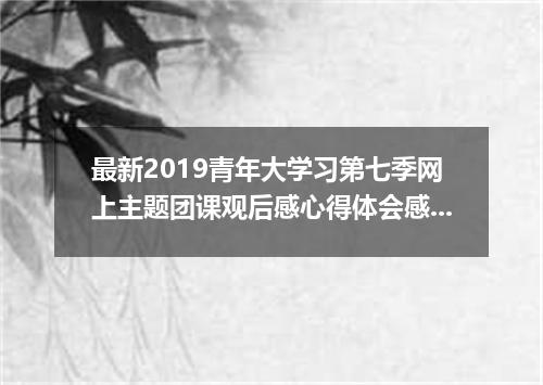 最新2019青年大学习第七季网上主题团课观后感心得体会感悟5篇
