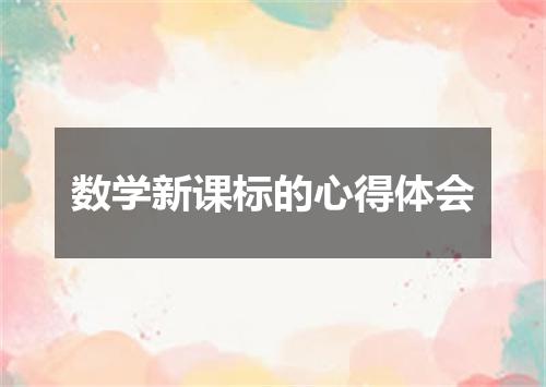 数学新课标的心得体会
