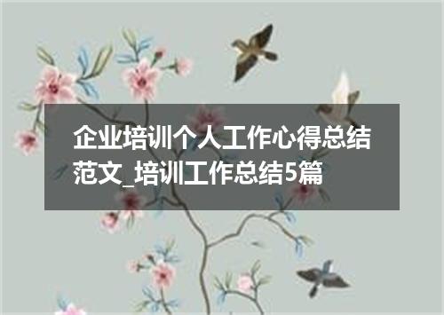 企业培训个人工作心得总结范文_培训工作总结5篇