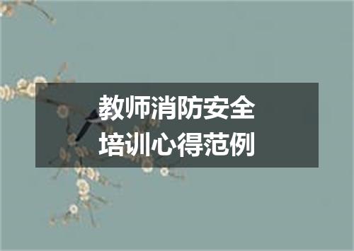 教师消防安全培训心得范例