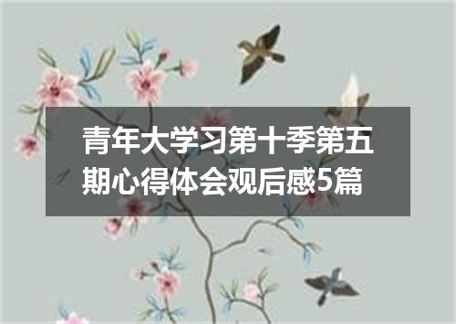 青年大学习第十季第五期心得体会观后感5篇