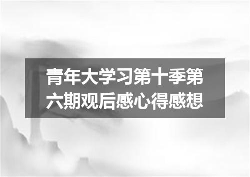 青年大学习第十季第六期观后感心得感想
