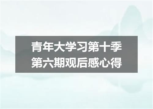 青年大学习第十季第六期观后感心得