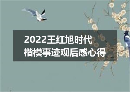 2022王红旭时代楷模事迹观后感心得