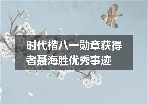 时代楷八一勋章获得者聂海胜优秀事迹