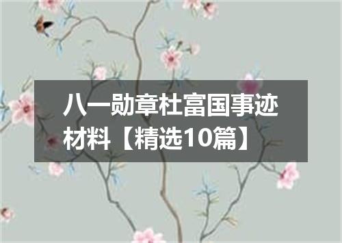 八一勋章杜富国事迹材料【精选10篇】