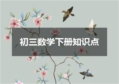 初三数学下册知识点