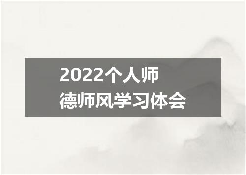 2022个人师德师风学习体会