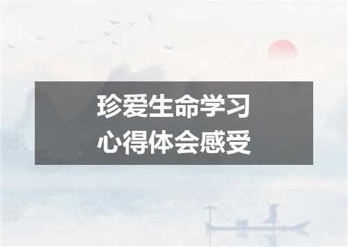 珍爱生命学习心得体会感受
