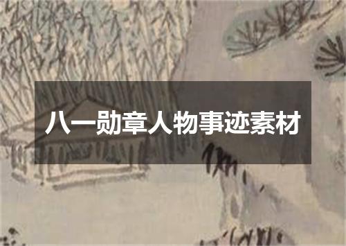 八一勋章人物事迹素材