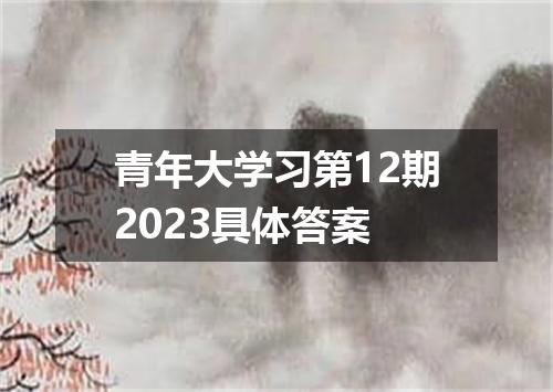 青年大学习第12期2023具体答案