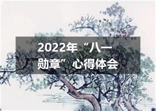 2022年“八一勋章”心得体会
