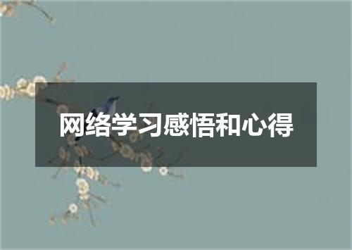网络学习感悟和心得