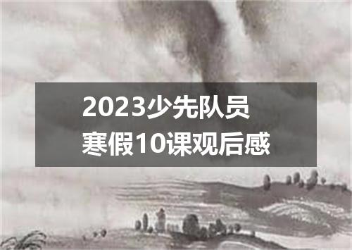 2023少先队员寒假10课观后感