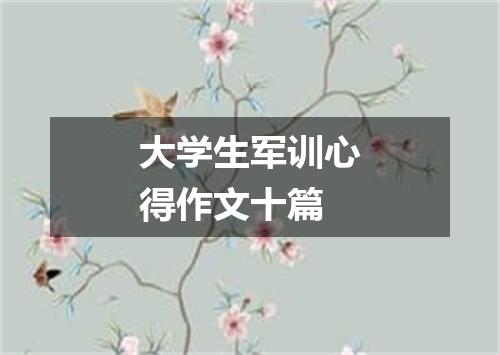 大学生军训心得作文十篇