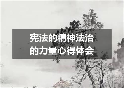宪法的精神法治的力量心得体会