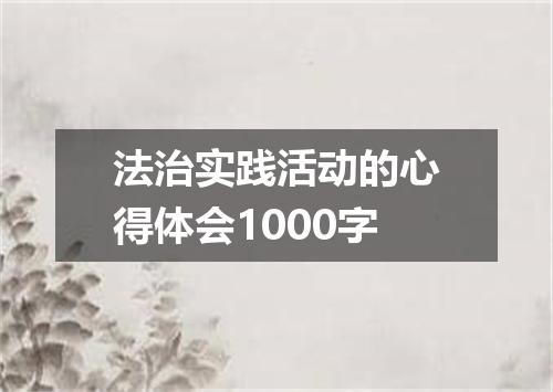 法治实践活动的心得体会1000字