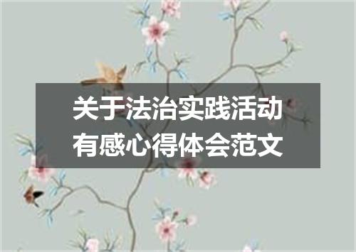 关于法治实践活动有感心得体会范文