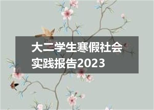 大二学生寒假社会实践报告2023
