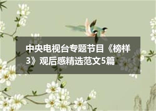 中央电视台专题节目《榜样3》观后感精选范文5篇