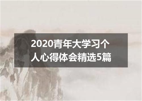 2020青年大学习个人心得体会精选5篇