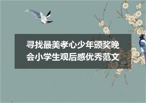 寻找最美孝心少年颁奖晚会小学生观后感优秀范文