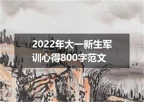 2022年大一新生军训心得800字范文