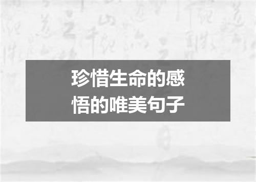 珍惜生命的感悟的唯美句子