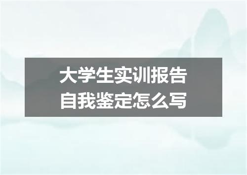 大学生实训报告自我鉴定怎么写