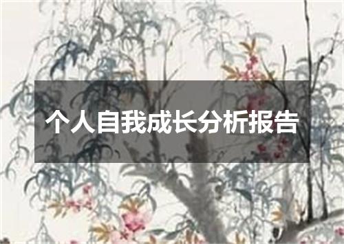 个人自我成长分析报告