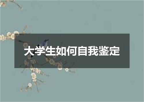 大学生如何自我鉴定