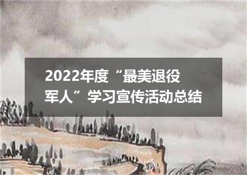 2022年度“最美退役军人”学习宣传活动总结