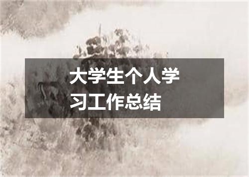 大学生个人学习工作总结