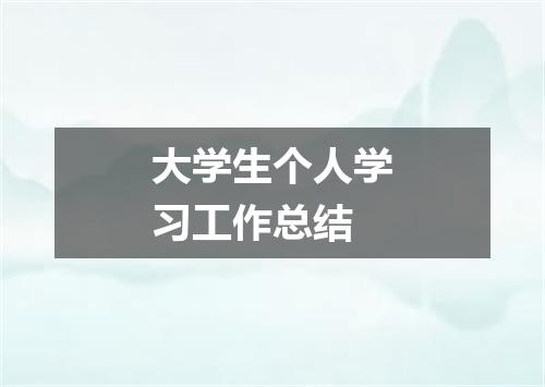 大学生个人学习工作总结