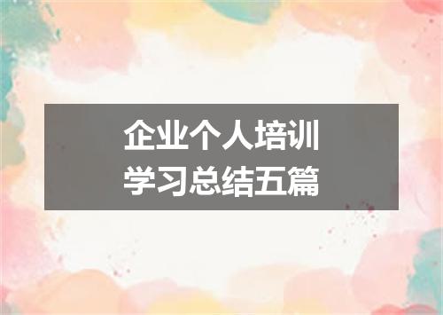 企业个人培训学习总结五篇