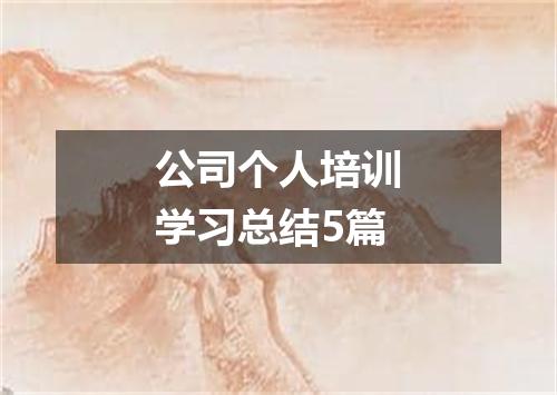 公司个人培训学习总结5篇