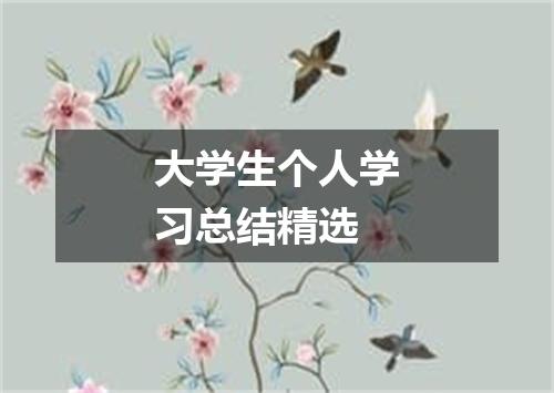 大学生个人学习总结精选