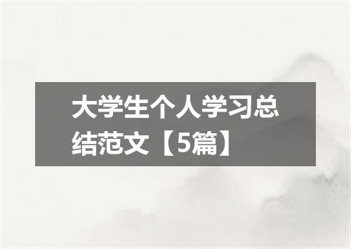 大学生个人学习总结范文【5篇】