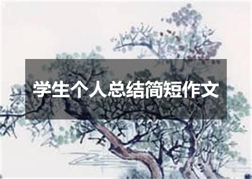 学生个人总结简短作文