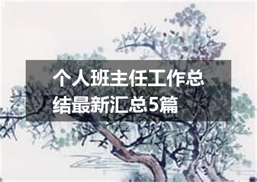 个人班主任工作总结最新汇总5篇
